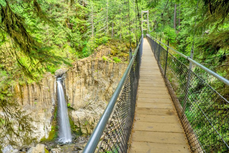 Suspension bridge above Drift Creek Falls