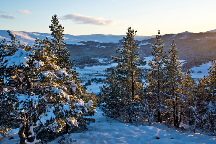 View from the snowy summit of Craigendarrock in the Scottish Cairngorms