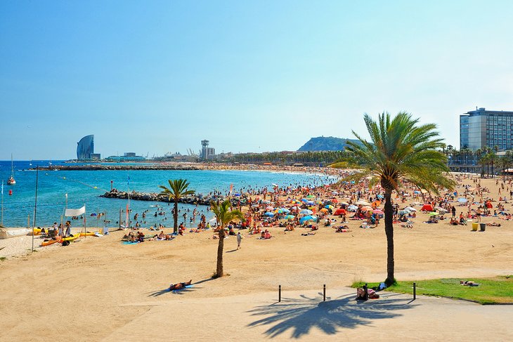 12 Beaches in Barcelona PlanetWare