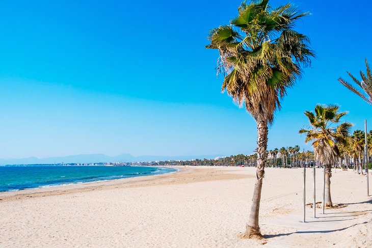 12 Beaches in Barcelona PlanetWare