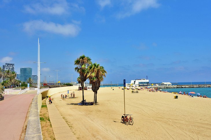 12 Beaches in Barcelona PlanetWare