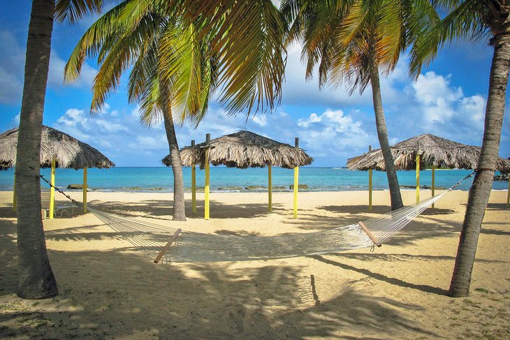 Photo Source: Tamarind Reef Resort, Spa & Marina