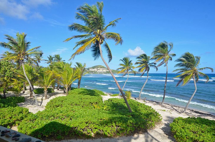 Photo Source: The Palms at Pelican Cove