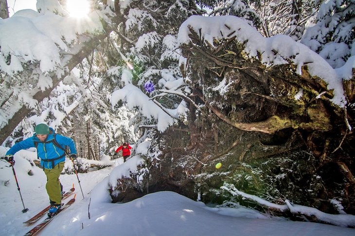 11 mejores lugares para practicar esquí de fondo en Vermont