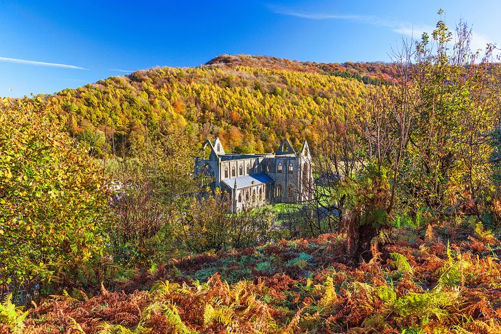 Tintern Abbey