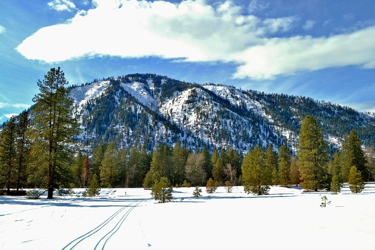 Cross-country skiing on the Winter Sports Club trails