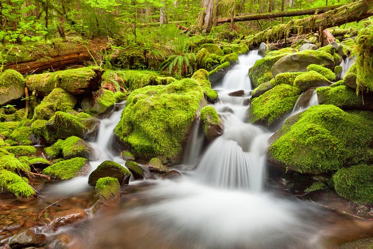 Sol Duc Falls