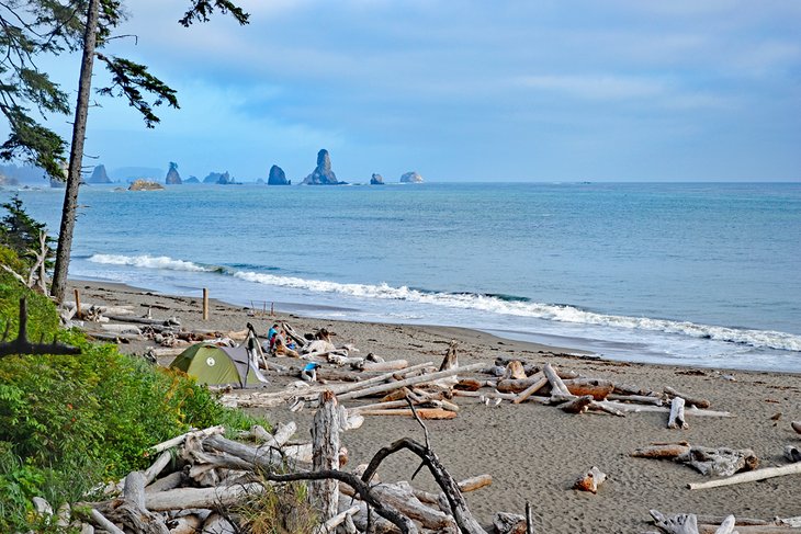 Third Beach, South of Rialto Beach