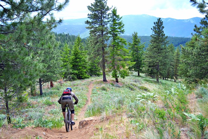 Mountain biking in Wenatchee's backyard