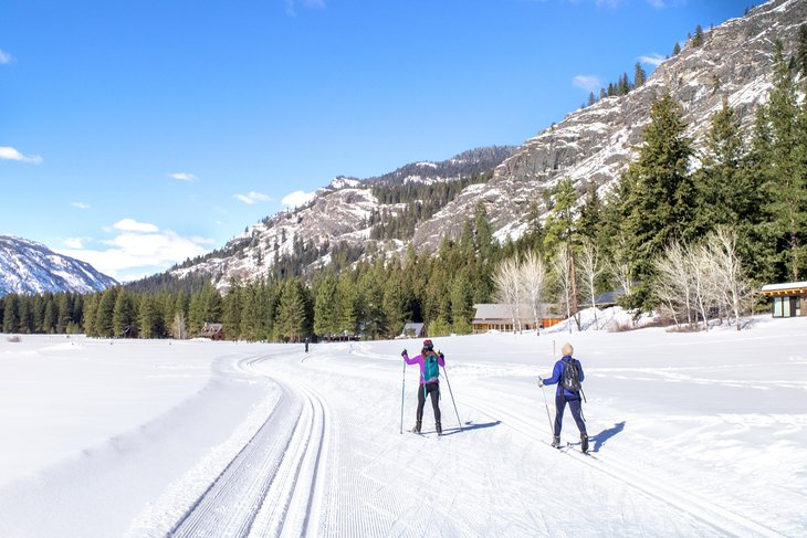 Skiers on Methow Trails