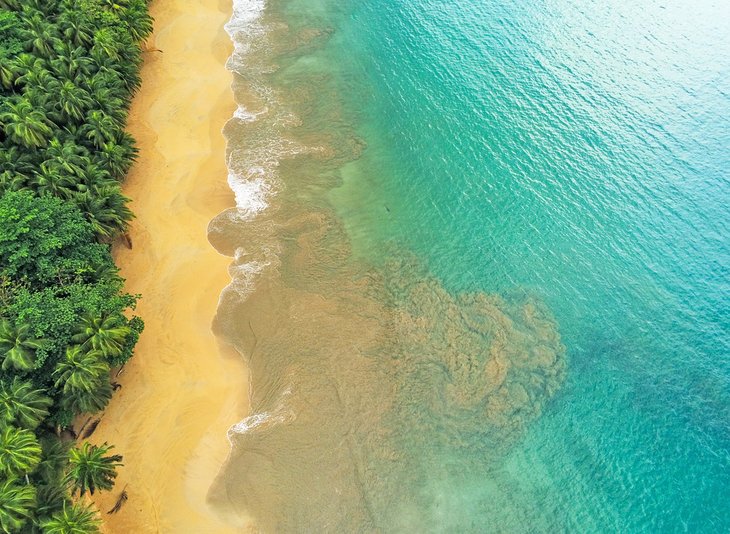 Vue aérienne de la plage de Bom Bom