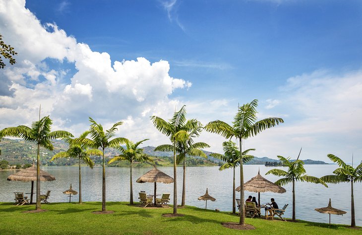 Tropical shoreline on Lake Kivu in Rwanda