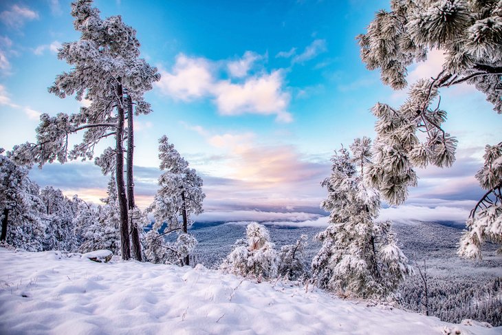 9 mejores lugares para ver la nieve en Arizona
