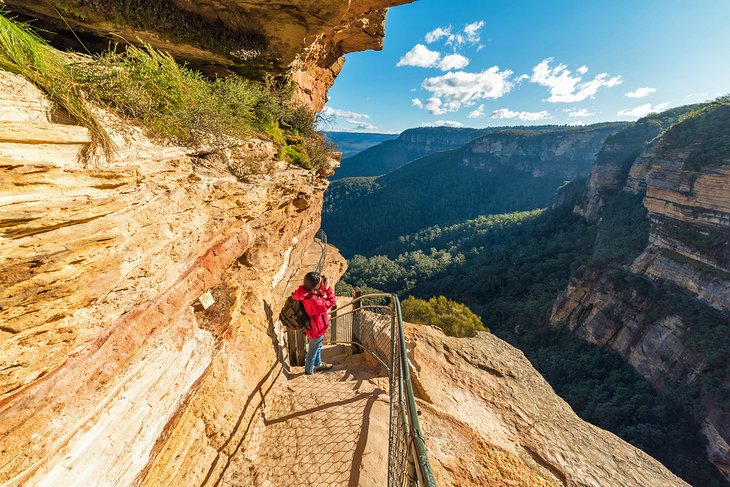 Hiker on a trail in the Blue Mountains