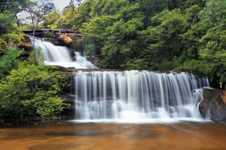 11 atracciones y cosas para hacer mejor calificadas en las Montañas Azules, Australia