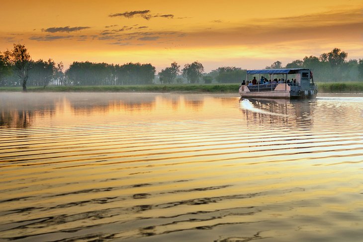 Yellow Water Cruise