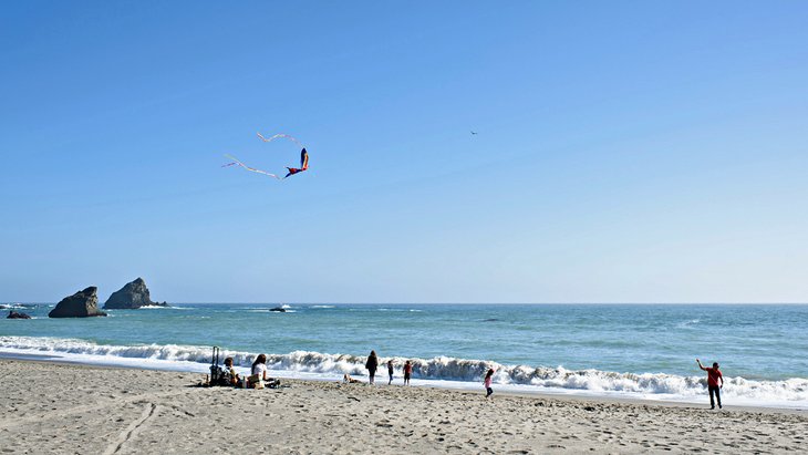 Navarro River State Beach