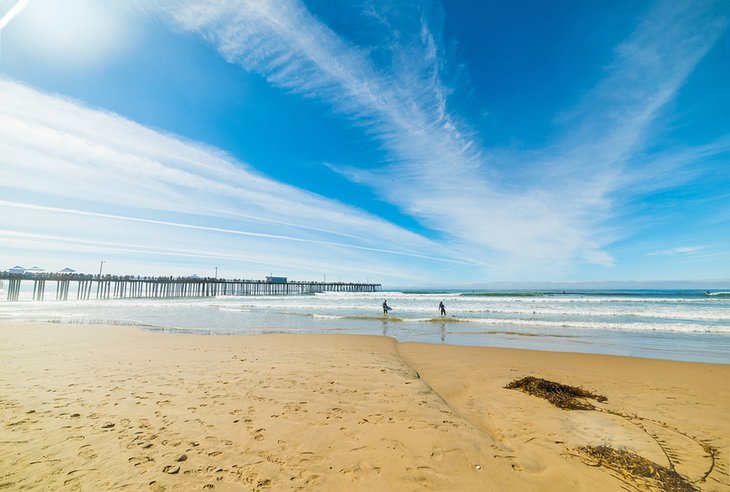 Pismo State Beach