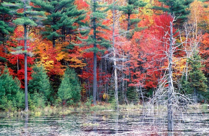 Fall colors in Killarney Provincial Park