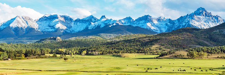 Cattle ranch below the Dallas divide mountains in Southwest Colorado