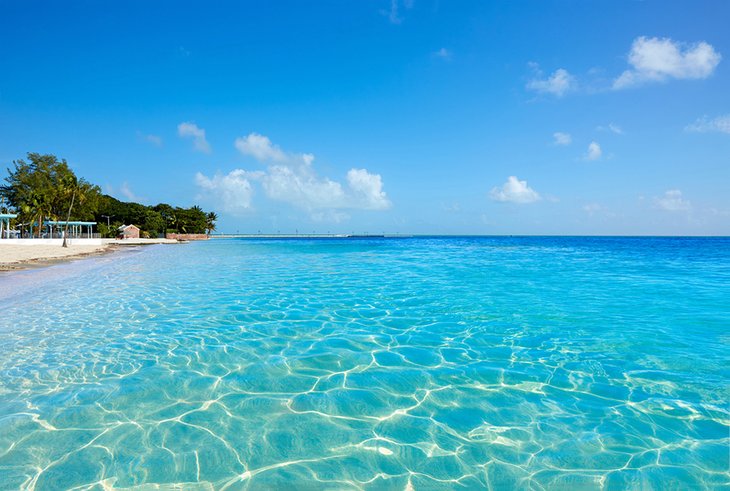 Crystal-clear water at Higgs Beach