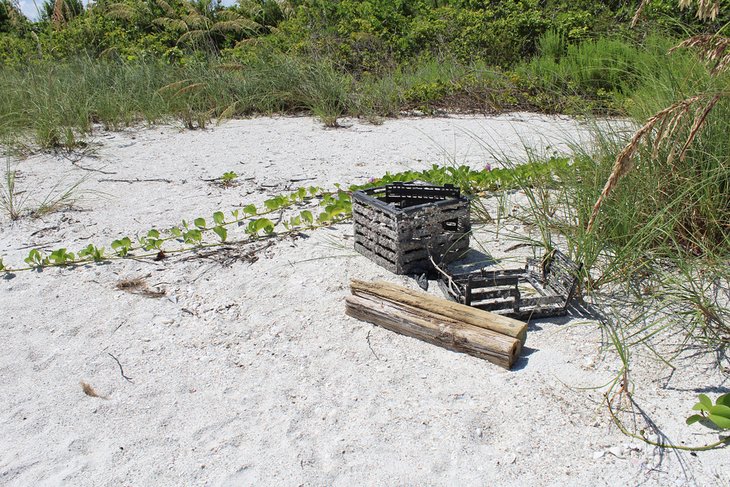 Little Hickory Island Park