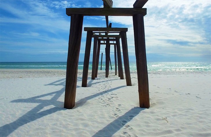 Camp Helen State Park Beach