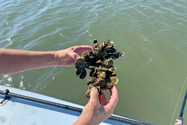 Pesca en St. Augustine, Florida: 6 cosas que debe saber Pesca en St. Augustine, Florida: 6 cosas que debe saber