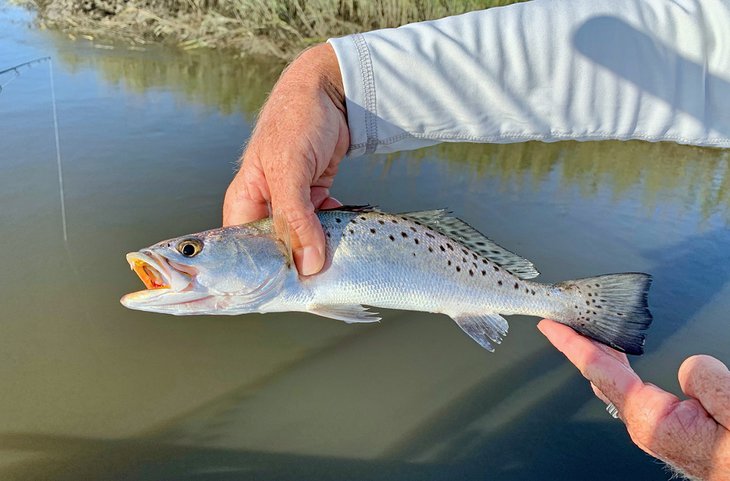 Pesca en St. Augustine, Florida: 6 cosas que debe saber