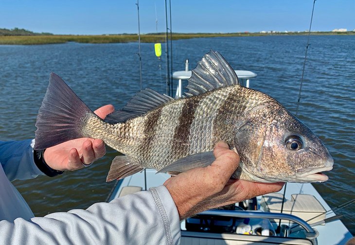 Pesca en St. Augustine, Florida: 6 cosas que debe saber