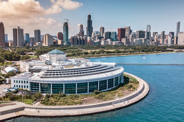 Shedd Aquarium