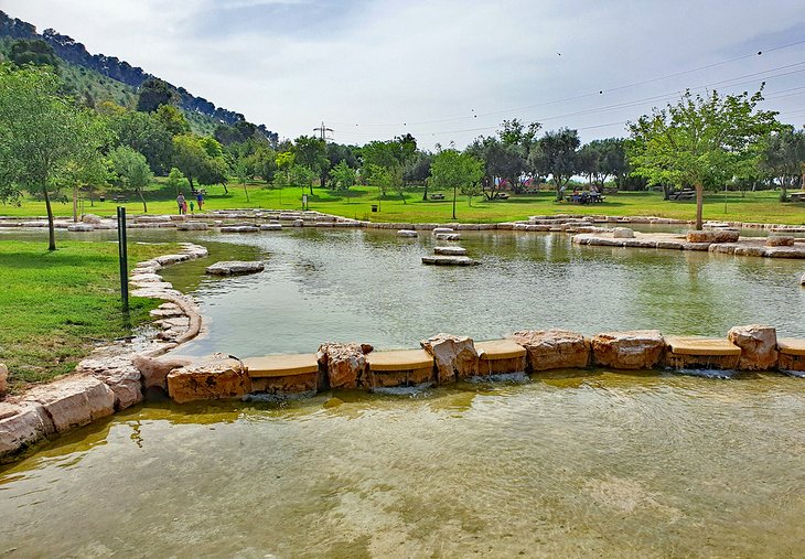 Ma'ayan Harod National Park