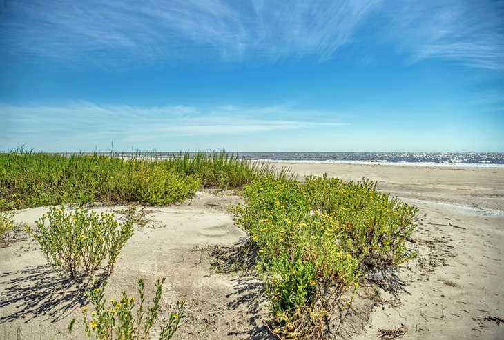 Holly Beach, Louisiana