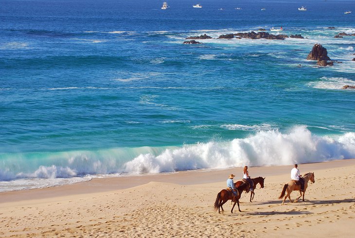 Riding horses on the beach in Cabo San Lucas