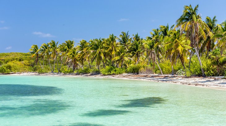 Tropical beach on Contoy Island