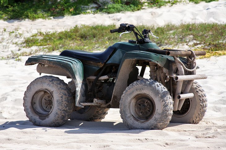 10 Mejores Tours y Excursiones en Cozumel