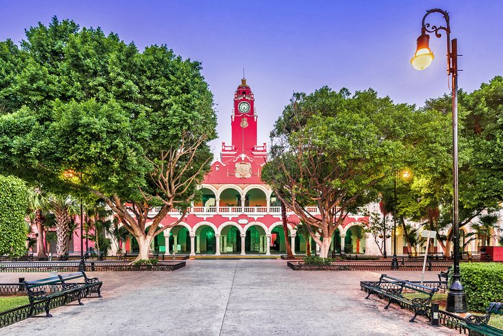 Historic Plaza Mayor (Plaza Grande)