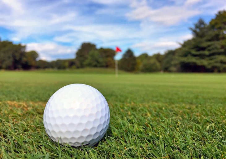 Beautiful day for golf