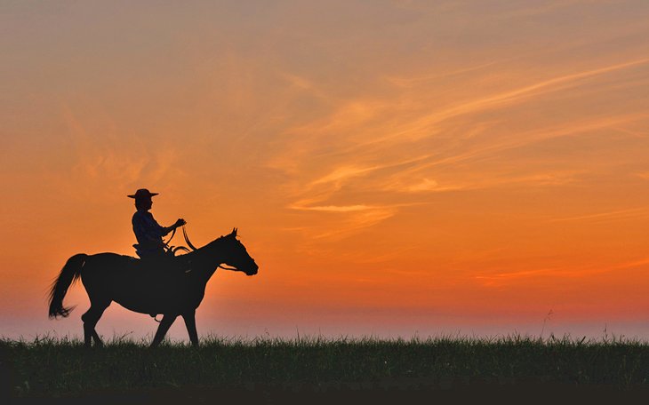 Horseback riding at sunset
