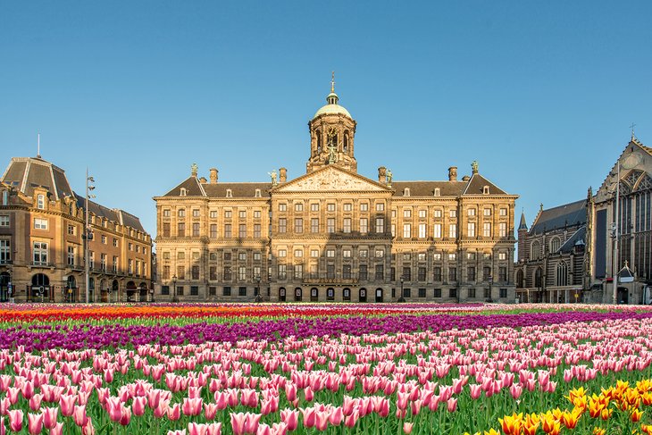 National Tulip Day in Dam Square