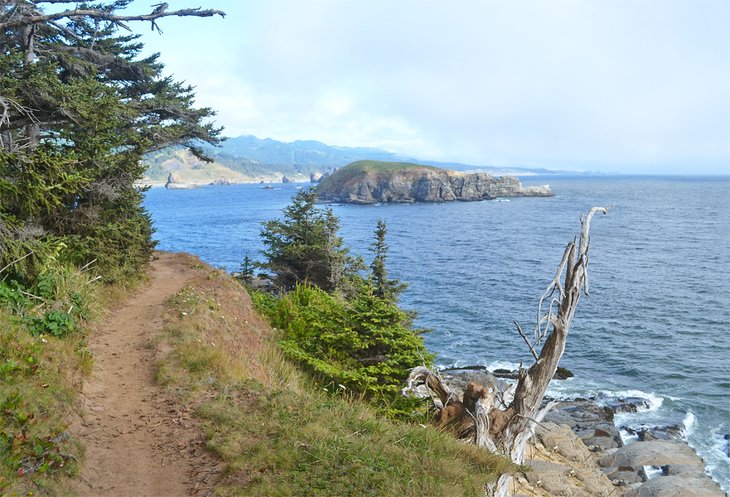 Cape Sebastian Trail