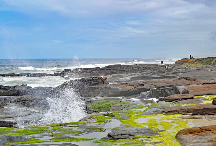 Yachats coastline