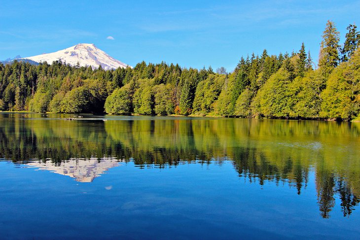 Mount Baker reflected in Baker Lake in the Mt. Baker-Snoqualmie National Forest