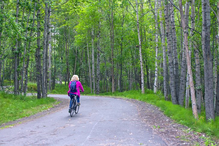 Cyclist on the Tony Knowles Coastal Trail