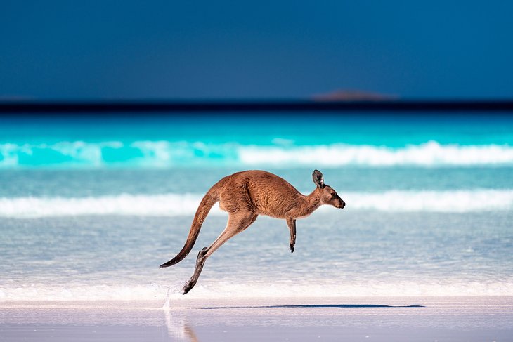 12 mejores playas de Australia