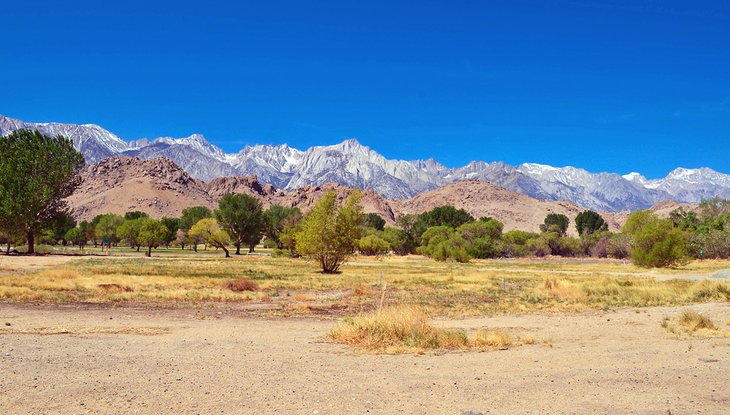 View from the Eastern Sierra Interagency Visitor Center