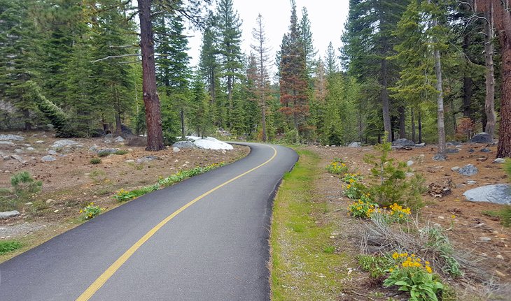 Truckee River Bike Trail