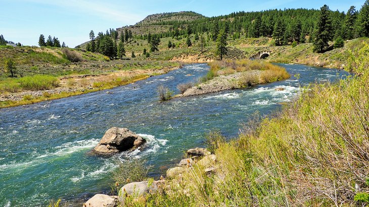 Truckee River near Tahoe City