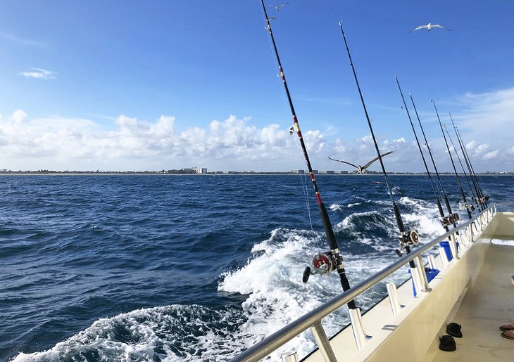 Living on Island Time Drift Fishing Charters near Boynton Beach