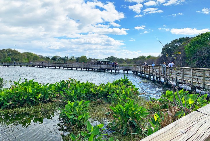 Wakodahatchee Wetlands boardwalk